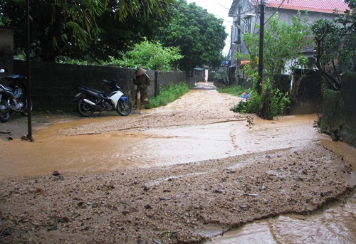 pho-thu-tuong-yeu-cau-ngung-thi-cong-du-an-flc-ha-long